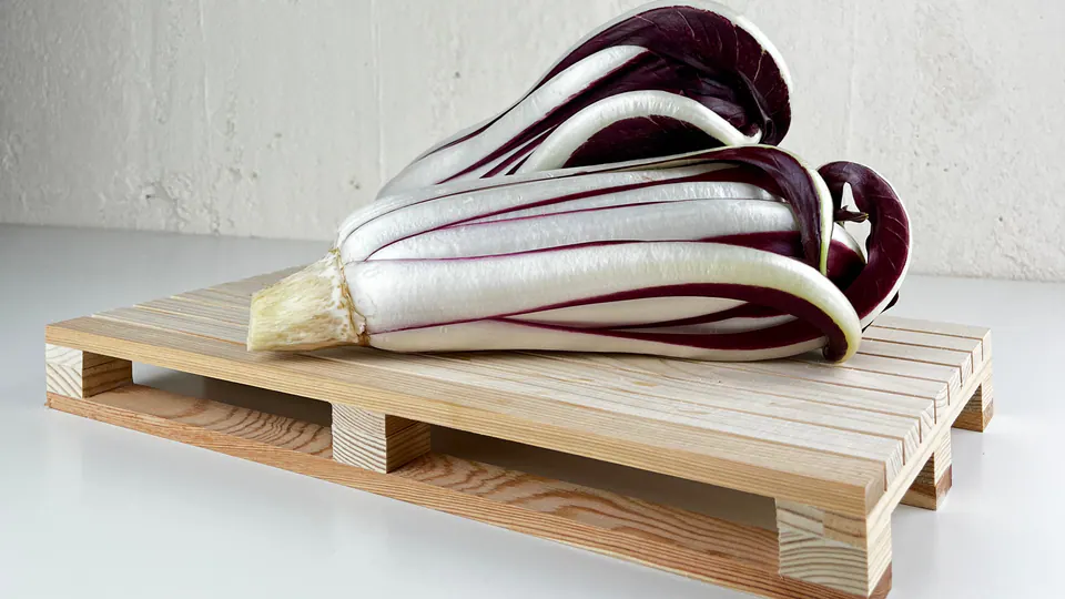Due cespi di Radicchio Tardivo su un piccolo bancale di legno