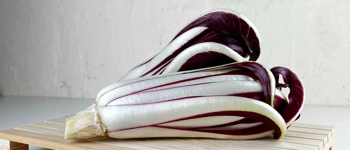 Cespi di Radicchio Tardivo su un piccolo bancale di legno