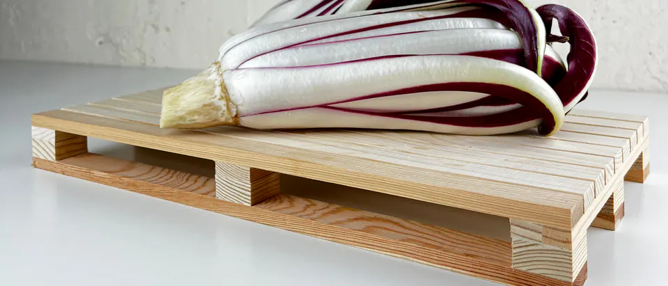 Cespi di Radicchio Tardivo appoggiati su un piccolo bancale di legno